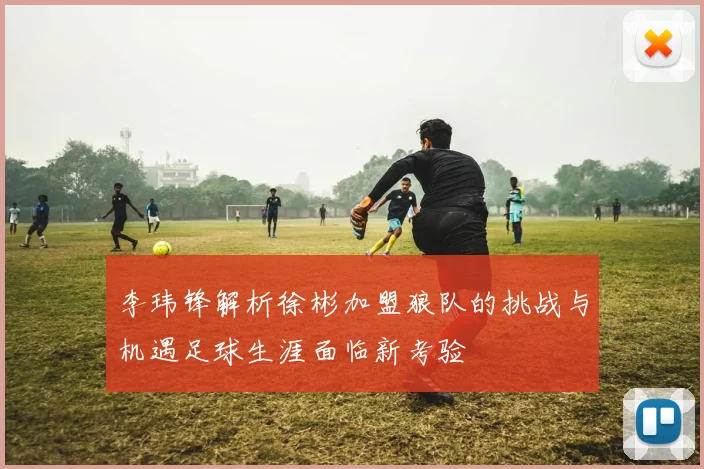 李玮锋解析徐彬加盟狼队的挑战与机遇足球生涯面临新考验